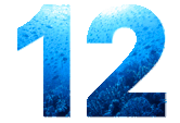 12 Years