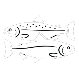 Atlantic Salmon Coho category icon