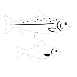 Fish category icon