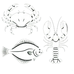 Miscellaneous seafood category icon