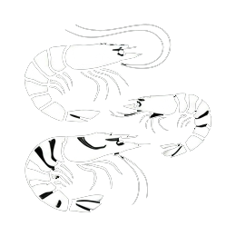 Vannamei and Black Tiger category icon