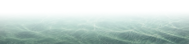 Sea wave background